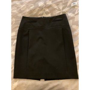 Express Pencil Skirt